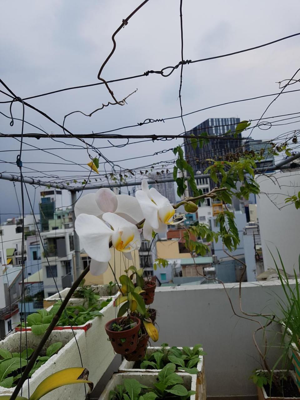 Urban House Saigon 2 Apartment Bandar Ho Chi Minh Luaran gambar